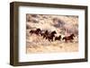 Mustang Horses Running, Wyoming-null-Framed Art Print