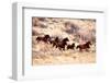 Mustang Horses Running, Wyoming-null-Framed Art Print