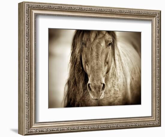 Mustang Sally-Lisa Dearing-Framed Photographic Print