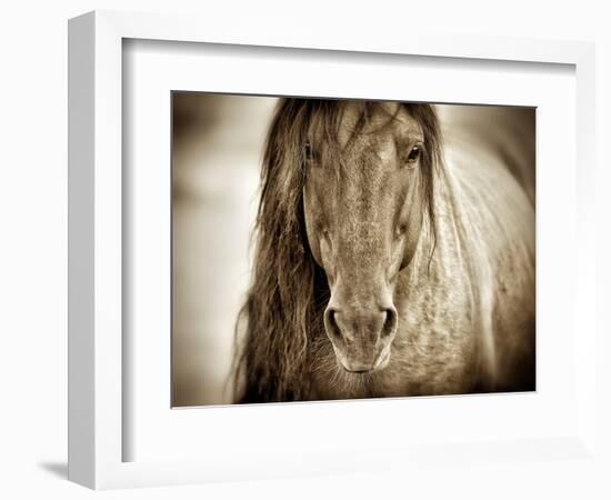 Mustang Sally-Lisa Dearing-Framed Photographic Print