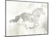 Mustang Study Neutral-Studio Mousseau-Mounted Art Print