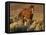 Mustang / Wild Horse, Chestnut Stallion Walking, Wyoming, USA Adobe Town Hma-Carol Walker-Framed Stretched Canvas