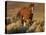 Mustang / Wild Horse, Chestnut Stallion Walking, Wyoming, USA Adobe Town Hma-Carol Walker-Stretched Canvas