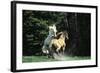 Mustang Wild Horse Herd Stallions Meet Along-null-Framed Photographic Print