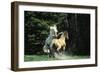 Mustang Wild Horse Herd Stallions Meet Along-null-Framed Photographic Print