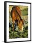 Mustang Wild Horse Mare Grazes Among Lupin Wildflowers-null-Framed Photographic Print