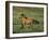 Mustang Wild Horse Stallion Running across High-null-Framed Photographic Print