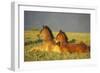 Mustang Wild Horses Two Colts Rest for a Moment-null-Framed Photographic Print
