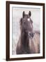 Mustang-Chris Dunker-Framed Giclee Print