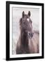 Mustang-Chris Dunker-Framed Giclee Print