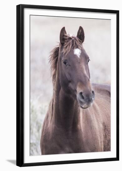 Mustang-Chris Dunker-Framed Giclee Print