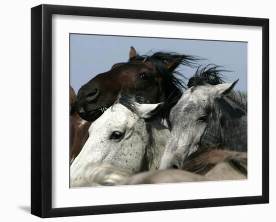 Mustangs Savior-Ann Heisenfelt-Framed Premium Photographic Print