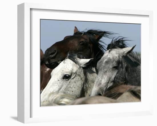 Mustangs Savior-Ann Heisenfelt-Framed Premium Photographic Print