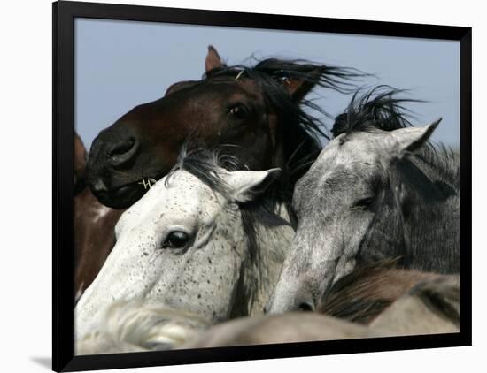 Mustangs Savior-Ann Heisenfelt-Framed Photographic Print