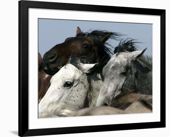 Mustangs Savior-Ann Heisenfelt-Framed Photographic Print