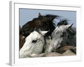 Mustangs Savior-Ann Heisenfelt-Framed Photographic Print