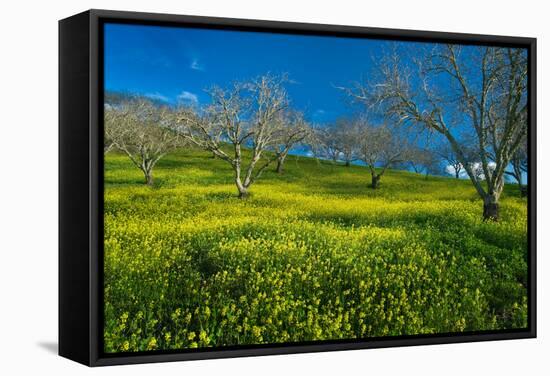 Mustard Factory I-Mark Geistweite-Framed Stretched Canvas