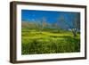 Mustard Factory I-Mark Geistweite-Framed Photographic Print