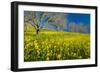 Mustard Factory II-Mark Geistweite-Framed Photographic Print