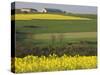 Mustard field by Grosbous, Sure River Valley, Luxembourg-Walter Bibikow-Stretched Canvas