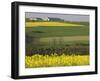 Mustard field by Grosbous, Sure River Valley, Luxembourg-Walter Bibikow-Framed Photographic Print