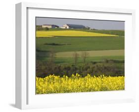 Mustard field by Grosbous, Sure River Valley, Luxembourg-Walter Bibikow-Framed Photographic Print