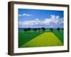 Mustard Field, Lower Austria-Walter Bibikow-Framed Photographic Print