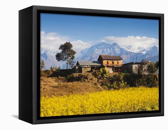 Mustard Fields with the Annapurna Range of the Himalayas in the Background, Gandaki, Nepal, Asia-Mark Chivers-Framed Stretched Canvas