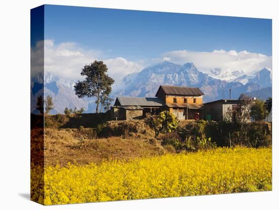 Mustard Fields with the Annapurna Range of the Himalayas in the Background, Gandaki, Nepal, Asia-Mark Chivers-Stretched Canvas
