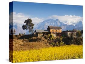 Mustard Fields with the Annapurna Range of the Himalayas in the Background, Gandaki, Nepal, Asia-Mark Chivers-Stretched Canvas