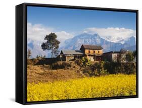 Mustard Fields with the Annapurna Range of the Himalayas in the Background, Gandaki, Nepal, Asia-Mark Chivers-Framed Stretched Canvas