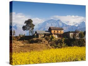 Mustard Fields with the Annapurna Range of the Himalayas in the Background, Gandaki, Nepal, Asia-Mark Chivers-Stretched Canvas