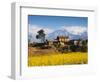 Mustard Fields with the Annapurna Range of the Himalayas in the Background, Gandaki, Nepal, Asia-Mark Chivers-Framed Photographic Print