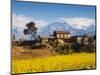 Mustard Fields with the Annapurna Range of the Himalayas in the Background, Gandaki, Nepal, Asia-Mark Chivers-Mounted Photographic Print
