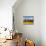 Mustard Fields with the Annapurna Range of the Himalayas in the Background, Gandaki, Nepal, Asia-Mark Chivers-Photographic Print displayed on a wall