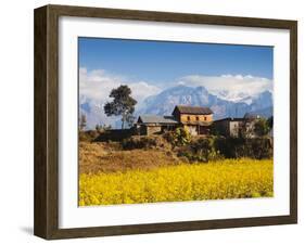 Mustard Fields with the Annapurna Range of the Himalayas in the Background, Gandaki, Nepal, Asia-Mark Chivers-Framed Photographic Print