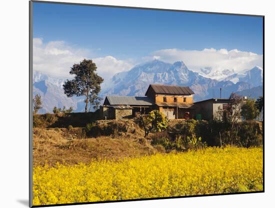 Mustard Fields with the Annapurna Range of the Himalayas in the Background, Gandaki, Nepal, Asia-Mark Chivers-Mounted Photographic Print