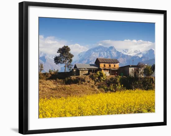 Mustard Fields with the Annapurna Range of the Himalayas in the Background, Gandaki, Nepal, Asia-Mark Chivers-Framed Photographic Print