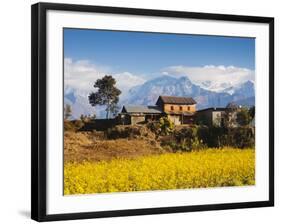 Mustard Fields with the Annapurna Range of the Himalayas in the Background, Gandaki, Nepal, Asia-Mark Chivers-Framed Photographic Print