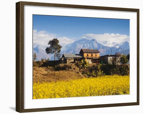 Mustard Fields with the Annapurna Range of the Himalayas in the Background, Gandaki, Nepal, Asia-Mark Chivers-Framed Photographic Print