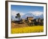 Mustard Fields with the Annapurna Range of the Himalayas in the Background, Gandaki, Nepal, Asia-Mark Chivers-Framed Photographic Print