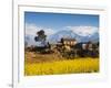 Mustard Fields with the Annapurna Range of the Himalayas in the Background, Gandaki, Nepal, Asia-Mark Chivers-Framed Photographic Print