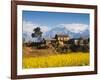 Mustard Fields with the Annapurna Range of the Himalayas in the Background, Gandaki, Nepal, Asia-Mark Chivers-Framed Photographic Print