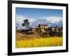 Mustard Fields with the Annapurna Range of the Himalayas in the Background, Gandaki, Nepal, Asia-Mark Chivers-Framed Photographic Print