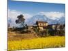 Mustard Fields with the Annapurna Range of the Himalayas in the Background, Gandaki, Nepal, Asia-Mark Chivers-Mounted Photographic Print