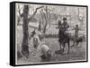 Mustering Sheep, Austral-W Hatherell-Framed Stretched Canvas