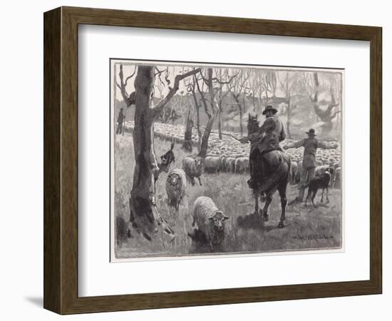 Mustering Sheep, Austral-W Hatherell-Framed Art Print