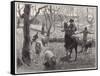 Mustering Sheep, Austral-W Hatherell-Framed Stretched Canvas