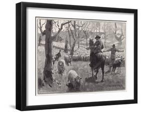 Mustering Sheep, Austral-W Hatherell-Framed Art Print