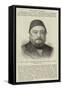 Musurus Pasha, Formerly Turkish Ambassador in London-null-Framed Stretched Canvas
